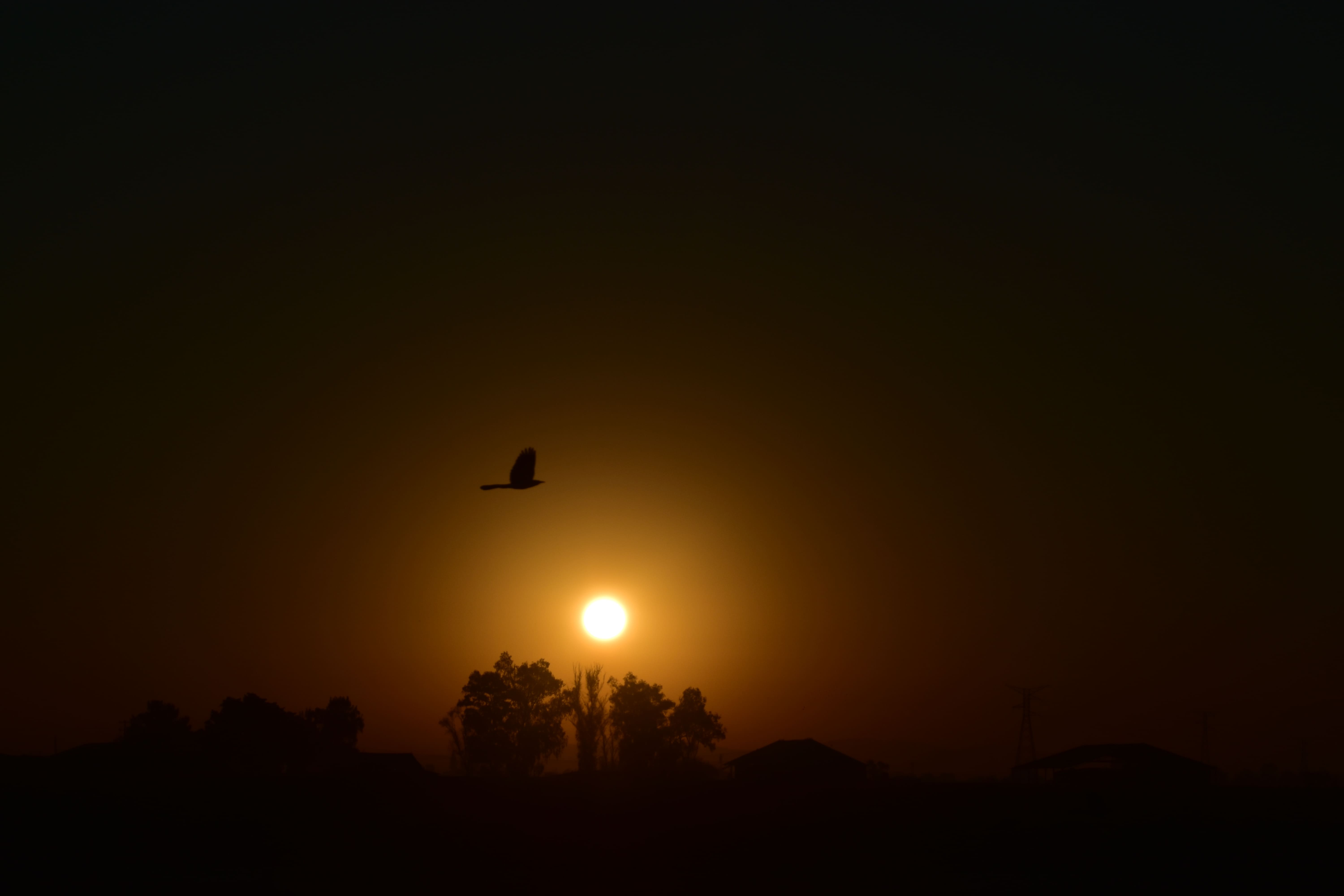Landscape10