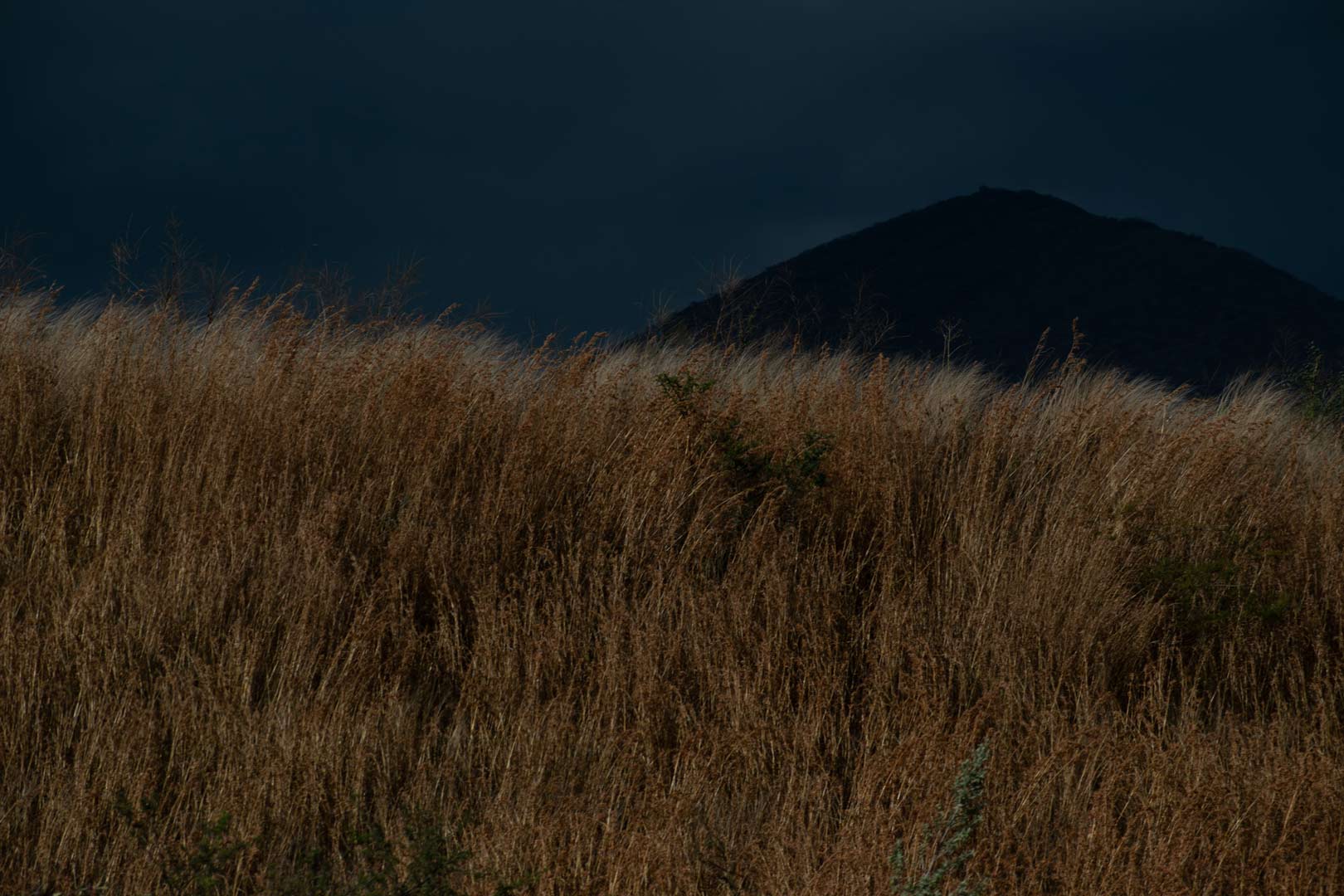 Landscape2