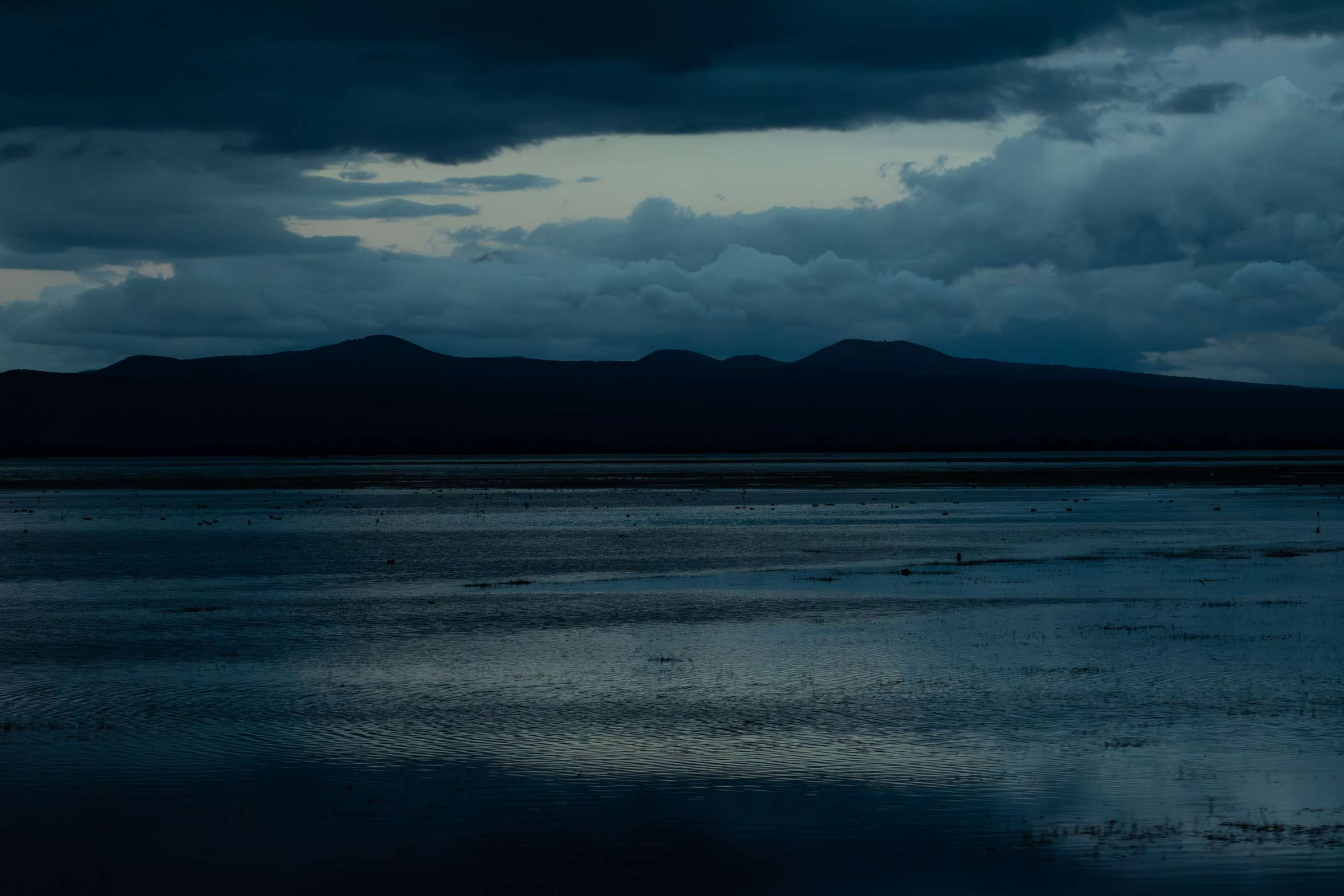 Landscape6
